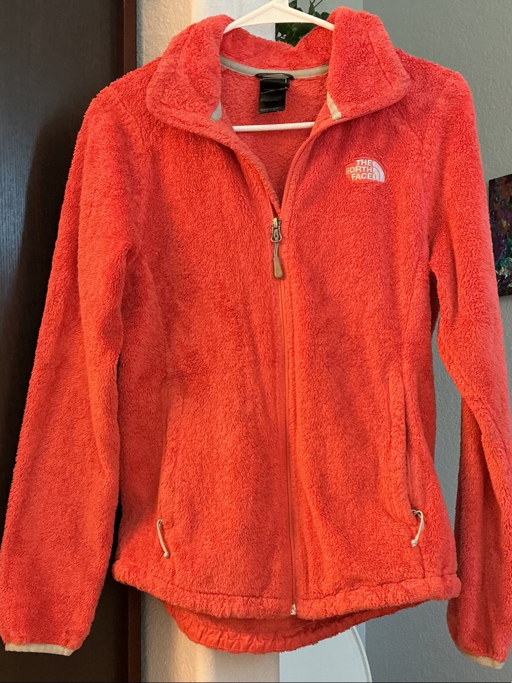 North face jacket